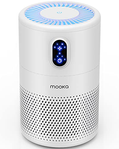 Best Air Purifier for Kitchen Odors: Top Effective Odor Eliminators