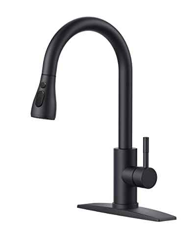 Best Black Kitchen Faucet