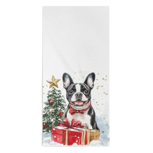 Boston Hotel With Kitchen: Top Boston Terrier Decor & Cooking Essentials