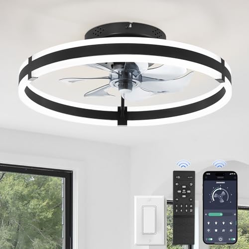 Ceiling Fan With Light for Kitchen