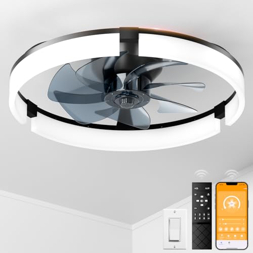 Ceiling Fan With Lights for Kitchen