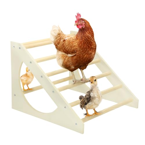 Chicken Kitchen Bird Road: Top Roosting Bars and Perches for Poultry