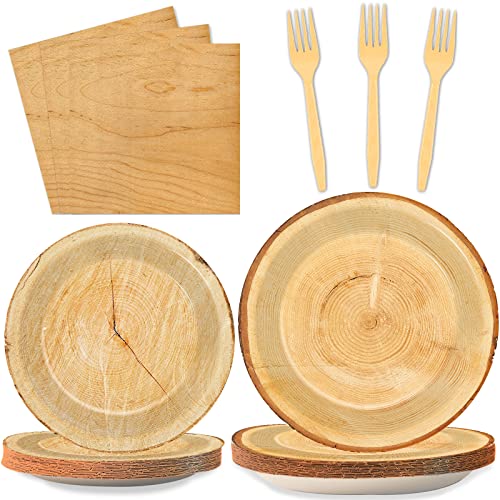 Dollar Tree Kitchen Items: Top Rustic and Festive Party Supplies Picks
