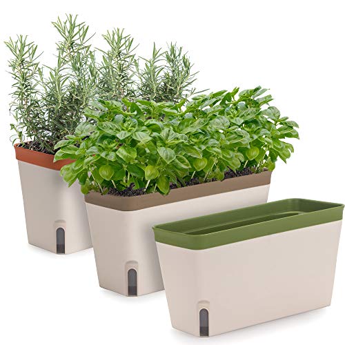 Greenhouse Window for Kitchen: Top Self-Watering Herb Planters Reviewed