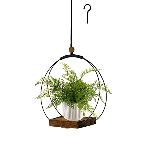 Hanging Plants in Kitchen Window