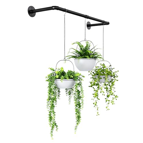Hanging Plants Kitchen Window