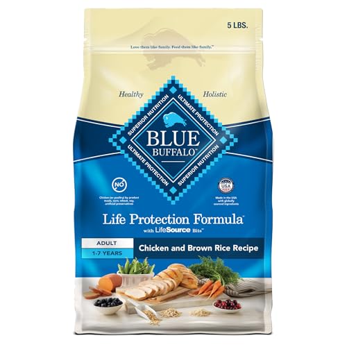 Healthy Kitchen Dog Food: Top Natural Recipes for Optimal Canine Health