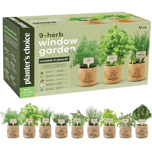 Herb Garden for the Kitchen