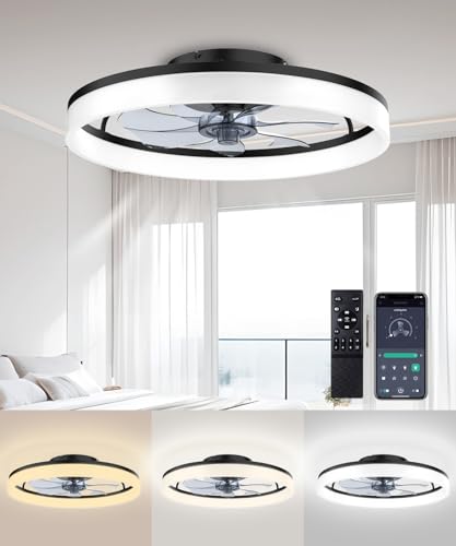 Kitchen Ceiling Fans With Light