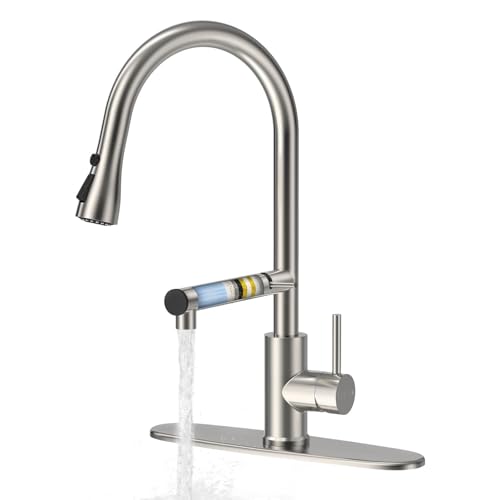 Kitchen Faucet With Filtered Water Dispenser for Clean, Pure Drinking Water