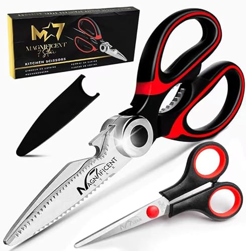 Kitchen Scissors That Come Apart