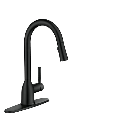 Matte Black Kitchen Sink Faucets and Accessories for Modern Kitchens