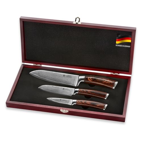 Most Expensive Kitchen Knives: Top Luxury Sets for Professional Chefs