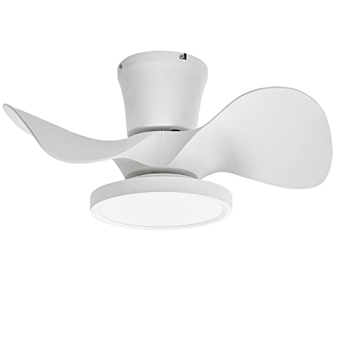 Small Ceiling Fan for Kitchen: Quiet, Stylish, and Energy-Efficient Choices