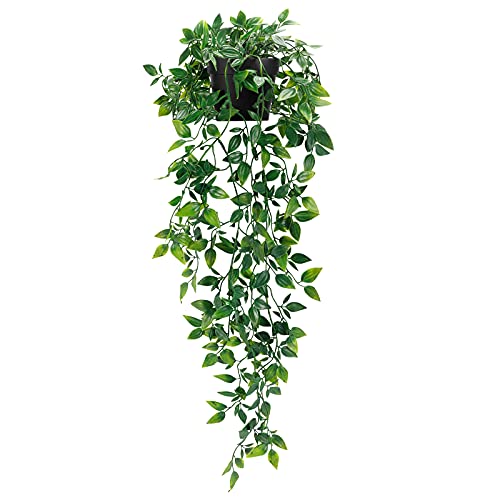 Top of Kitchen Cabinet Decor
